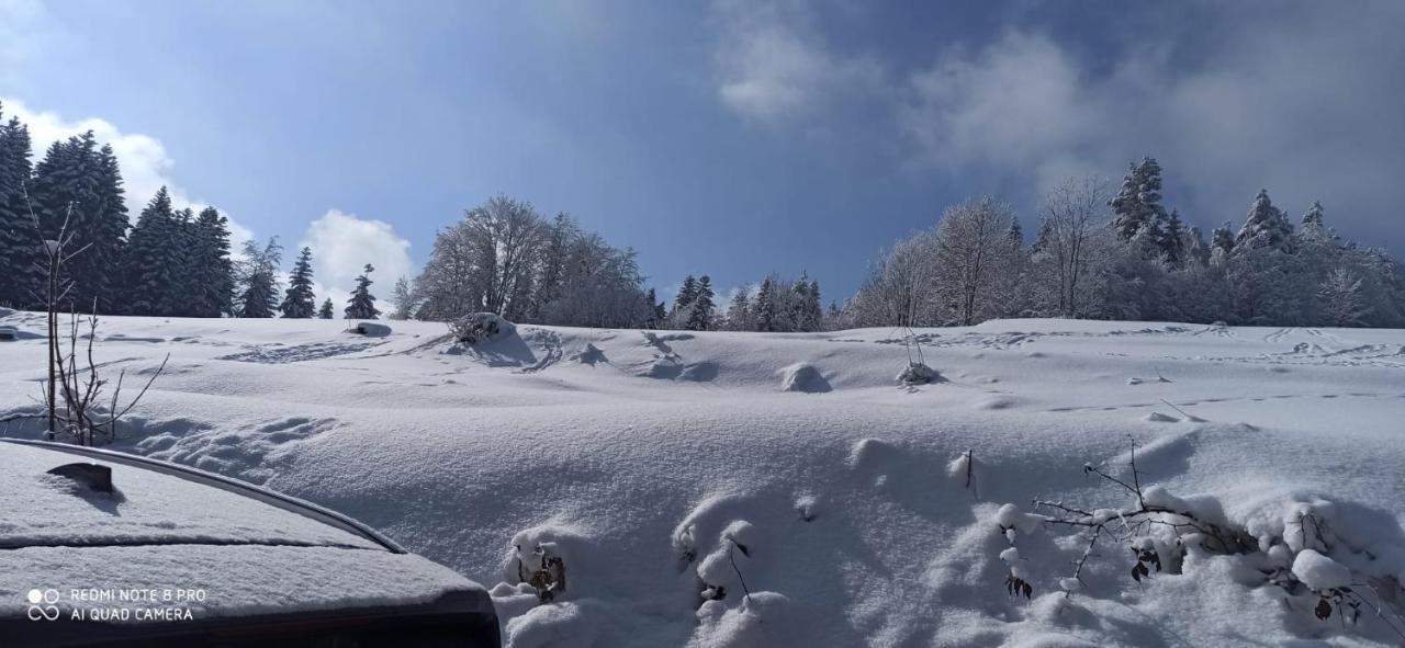 Chata Z Widokiem Na Babia Gore Pewel Wielka Exterior foto
